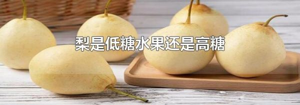 梨是低糖水果还是高糖