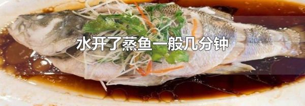 水开了蒸鱼一般几分钟