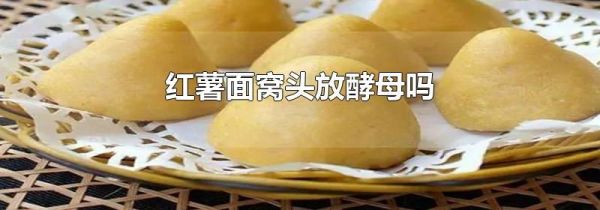 红薯面窝头放酵母吗
