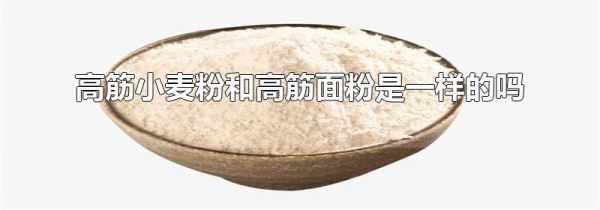 高筋小麦粉和高筋面粉是一样的吗