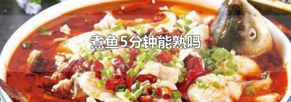 煮鱼5分钟能熟吗