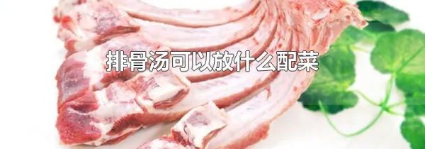 排骨汤可以放什么配菜