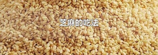 芝麻的吃法