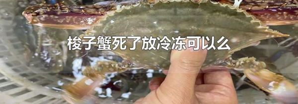 梭子蟹死了放冷冻可以么