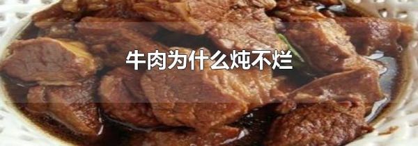 牛肉为什么炖不烂