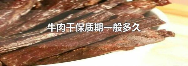 牛肉干保质期一般多久