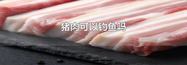 猪肉可以钓鱼吗