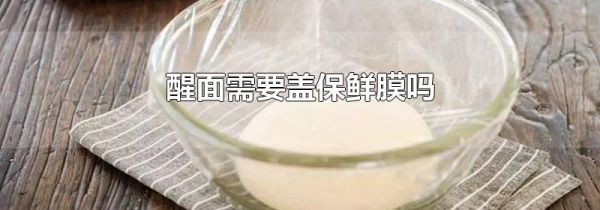醒面需要盖保鲜膜吗