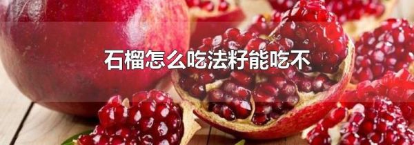 石榴怎么吃法籽能吃不