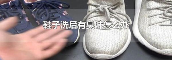 鞋子洗后有臭味怎么办