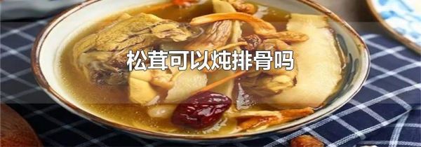 松茸可以炖排骨吗