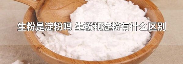 生粉是淀粉吗 生粉和淀粉有什么区别