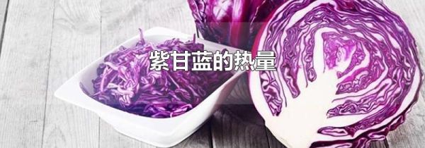 紫甘蓝的热量