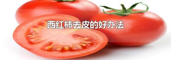 西红柿去皮的好办法