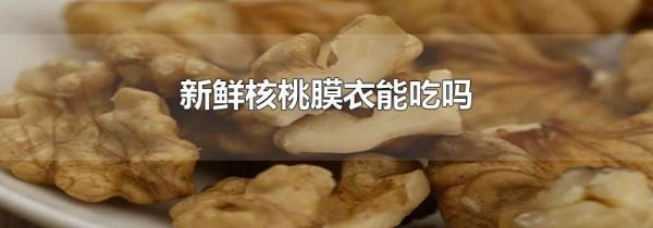 新鲜核桃膜衣能吃吗