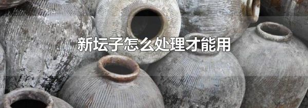 新坛子怎么处理才能用