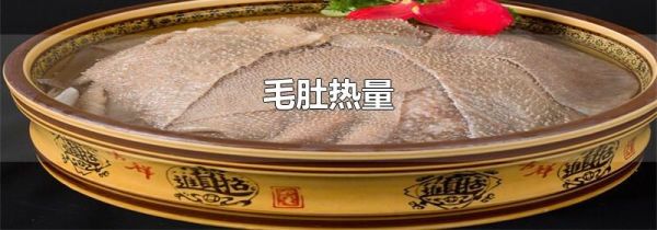 毛肚热量