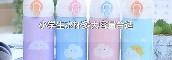 小学生水杯多大容量合适