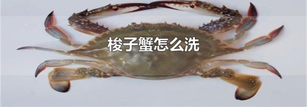 梭子蟹怎么洗
