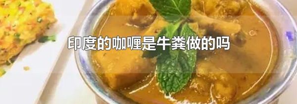 印度的咖喱是牛粪做的吗