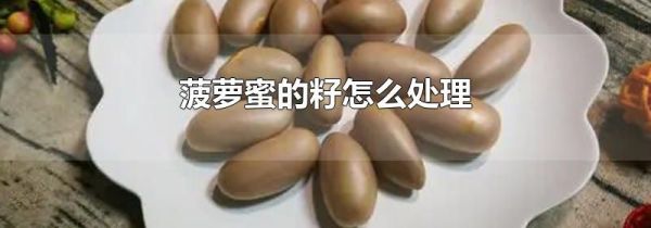 菠萝蜜的籽怎么处理
