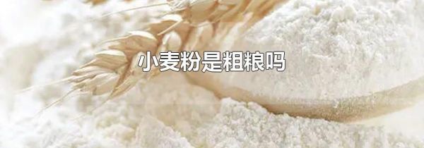 小麦粉是粗粮吗