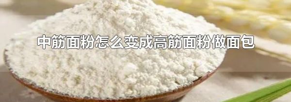 中筋面粉怎么变成高筋面粉做面包