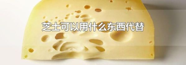 芝士可以用什么东西代替