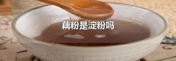 藕粉是淀粉吗