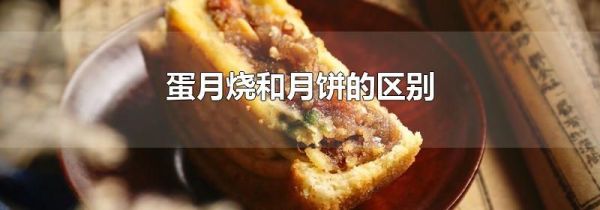 蛋月烧和月饼的区别