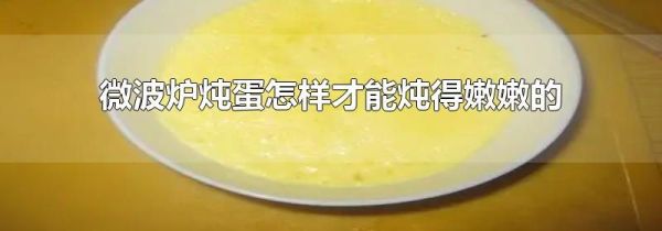 微波炉炖蛋怎样才能炖得嫩嫩的