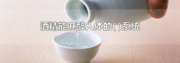 酒精能麻醉人体的( )系统