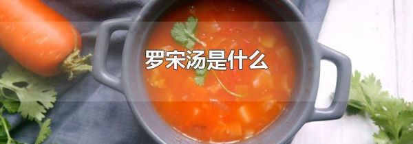 罗宋汤是什么