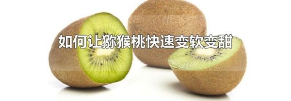 如何让猕猴桃快速变软变甜