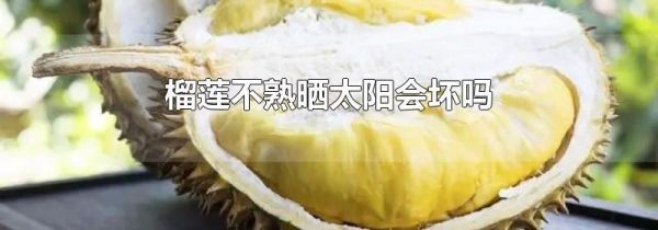 榴莲不熟晒太阳会坏吗