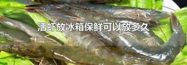 活虾放冰箱保鲜可以放多久