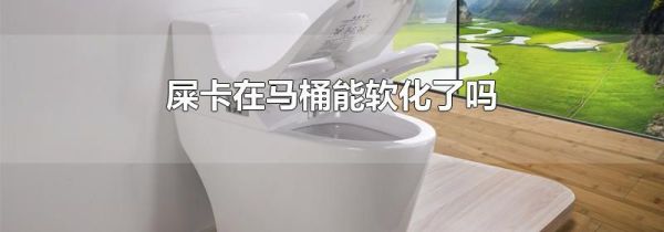 屎卡在马桶能软化了吗