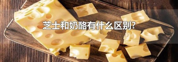 芝士和奶酪有什么区别?