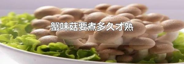 蟹味菇要煮多久才熟