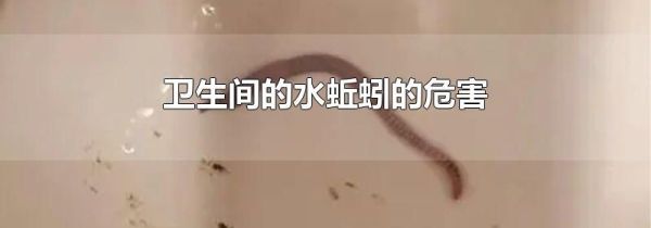 卫生间的水蚯蚓的危害