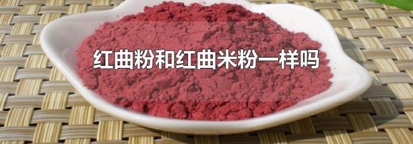 红曲粉和红曲米粉一样吗
