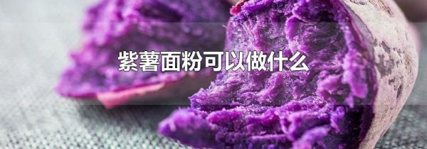紫薯面粉可以做什么