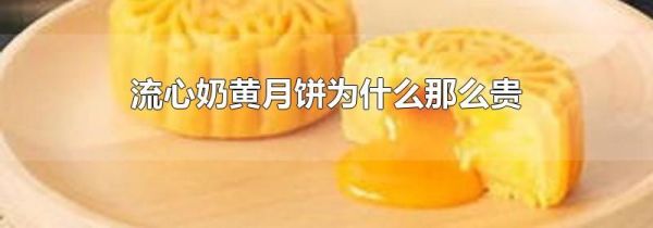 流心奶黄月饼为什么那么贵