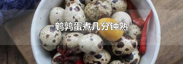 鹌鹑蛋煮几分钟熟
