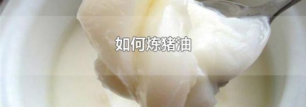 如何炼猪油