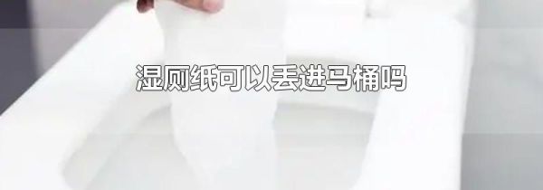 湿厕纸可以丢进马桶吗