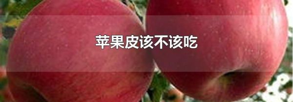 苹果皮该不该吃
