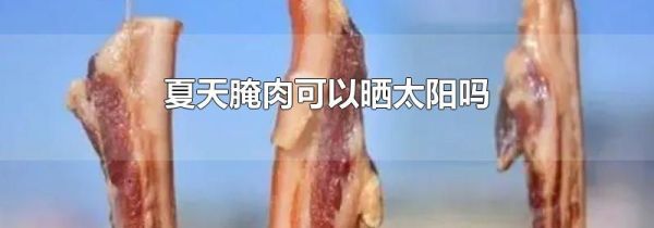 夏天腌肉可以晒太阳吗