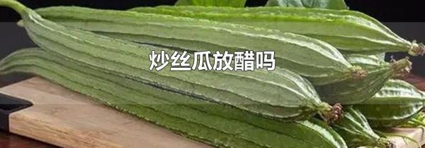 炒丝瓜放醋吗