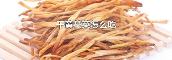 干黄花菜怎么吃